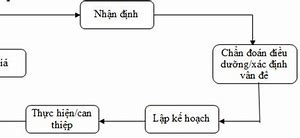 Ứng Dụng Quy Trình Điều Dưỡng Cộng Đồng