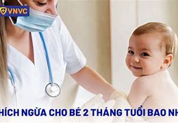 Vnvc Chích Ngừa Dại Bao Nhiêu Tiền